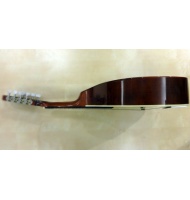 Eπίπεδο μαντολίνο GEWA II |  Μαντολίνα στο Pegasus Music Store