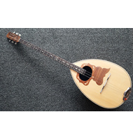 Μπουζούκι παραδοσιακό τρίχορδο από καρυδιά . |  Μπουζούκια 6-χορδα στο Pegasus Music Store