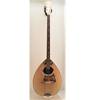 Χειροποίητο 6-χορδο Μπουζούκι Advanced White Daisy |  Μπουζούκια 6-χορδα στο Pegasus Music Store