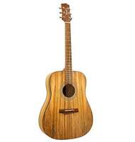 Randon RGI M1 |  Acoustic guitars στο Pegasus Music Store