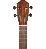 Γιουκαλίλι Κονσέρτο V1-C smile |  Γιουκαλίλι  στο Pegasus Music Store