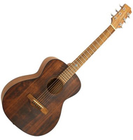 Randon RGI-14Mini-VT |  Acoustic guitars στο Pegasus Music Store