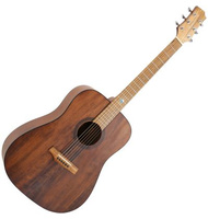 Randon RGI -10 VT |  Acoustic guitars στο Pegasus Music Store