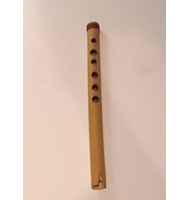 Ινδιάνικος αυλός |  Traditional Flutes στο Pegasus Music Store