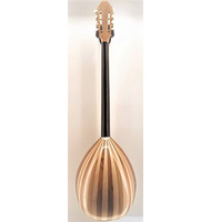 Χειροποίητο 8-χορδο Μπουζούκι Advanced P. Pegasus |  Μπουζούκια 8-χορδα στο Pegasus Music Store