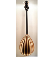 Χειροποίητο 6-χορδο Μπουζούκι Advanced P. Rose |  Μπουζούκια 6-χορδα στο Pegasus Music Store