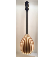 Χειροποίητο 8-χορδο Μπουζούκι Advanced Celluloid Pegasus 2 |  Μπουζούκια 8-χορδα στο Pegasus Music Store