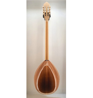 Χειροποίητο 8-χορδο Μπουζούκι Advanced Cyan Vine Inverted |  Μπουζούκια 8-χορδα στο Pegasus Music Store