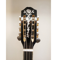 Χειροποίητο 8-χορδο Μπουζούκι Black Pearl Harp - Professional |  Μπουζούκια 8-χορδα στο Pegasus Music Store