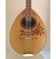 Bouzouki 8-string with brown flowers design and white background |  Bouzouki 8-strings στο Pegasus Music Store