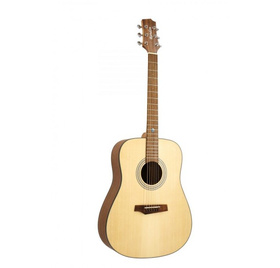 Randon RGI-01 |  Acoustic guitars στο Pegasus Music Store