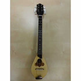 Baglamas Pegasus Eco2 D2 |  Baglamas στο Pegasus Music Store