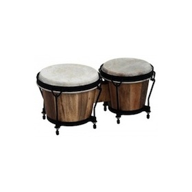 Bongos Ι |  Μπόνγκο στο Pegasus Music Store
