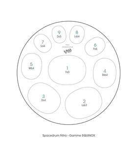 SPACEDRUM NITRO 9 ΝΟΤΕΣ - EQUINOX - FM |  Zenko Tongue Drums στο Pegasus Music Store