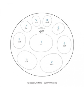 SPACEDRUM NITRO 9 ΝΟΤΕΣ - EQUINOX - FM |  Zenko Tongue Drums στο Pegasus Music Store