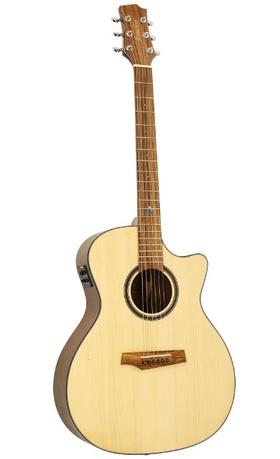 Randon RGI 24CE |  Ηλεκτρακουστικές Κιθάρες στο Pegasus Music Store