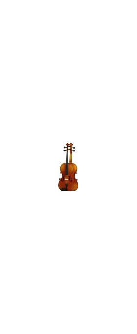 ELITE Advanced violin  4/4 |  Βιολιά στο Pegasus Music Store