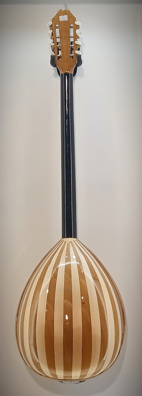 Handmade Bouzouki 8-strings with blue dolphin design |  Bouzouki 8-strings στο Pegasus Music Store