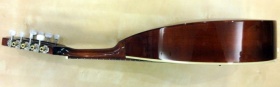 Portuguese II mandolin |  Mandolins στο Pegasus Music Store