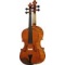 Symphony Professional violin |  Βιολιά στο Pegasus Music Store