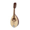 Portuguese II mandolin |  Mandolins στο Pegasus Music Store