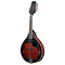 Electracoustic Mandolin flatback |  Mandolins στο Pegasus Music Store