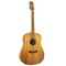 Randon RGI M1 |  Acoustic guitars στο Pegasus Music Store