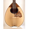 Greek Handmade 8-string Bouzouki Advanced P. Pegasus |  Bouzouki 8-strings στο Pegasus Music Store