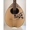 Greek Handmade 8-string Bouzouki Advanced White Daisy 2 |  Bouzouki 8-strings στο Pegasus Music Store