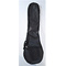 Enforced Bouzouki Case |  Bouzouki cases. στο Pegasus Music Store