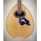 Handmade Bouzouki 8-strings with blue dolphin design |  Bouzouki 8-strings στο Pegasus Music Store