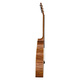 Baton Rouge AR61C/GACE |  Ηλεκτρακουστικές Κιθάρες στο Pegasus Music Store