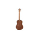 Baton Rouge V2-B sun |  Ukulele στο Pegasus Music Store