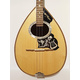Bouzouki 6-strings Pegasus . BU6.AD.WM.1.2.LYRA |  Bouzouki 6-strings στο Pegasus Music Store