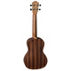 Baton Rouge V2-C sun |  Ukulele στο Pegasus Music Store