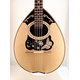 Greek Handmade 8-string Bouzouki Left-Handed Advanced P. Black Butterfly |  Bouzouki 8-strings στο Pegasus Music Store