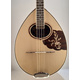 Greek Handmade 8-string Bouzouki Advanced 'Orfeas' Spruce Top |  Bouzouki 8-strings στο Pegasus Music Store