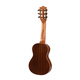 Makawao Guitalele 20 |  GUITARLELE στο Pegasus Music Store