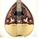 Bouzouki Greek handmade 8 strings with Celluloid Pegasus |  Bouzouki 8-strings στο Pegasus Music Store